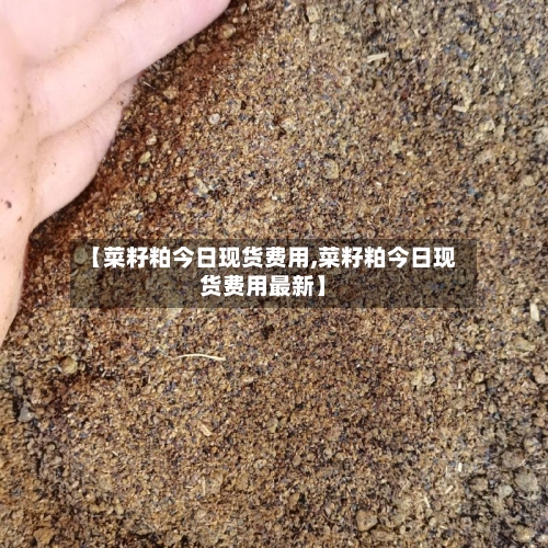【菜籽粕今日现货费用,菜籽粕今日现货费用最新】