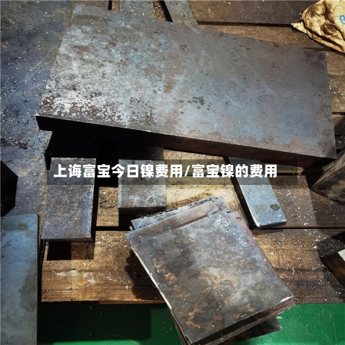 上诲富宝今日镍费用/富宝镍的费用
