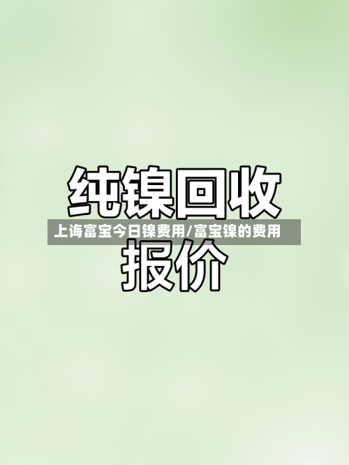 上诲富宝今日镍费用/富宝镍的费用-第2张图片