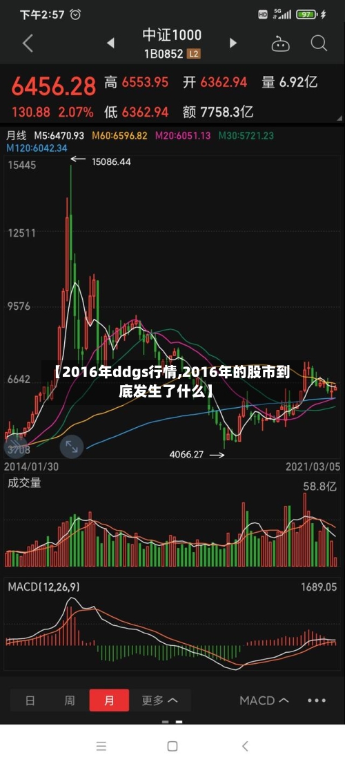 【2016年ddgs行情,2016年的股市到底发生了什么】