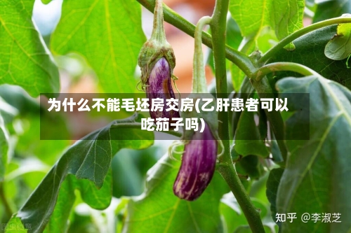 为什么不能毛坯房交房(乙肝患者可以吃茄子吗)-第2张图片