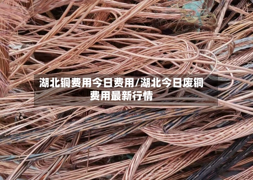 湖北铜费用今日费用/湖北今日废铜费用最新行情-第3张图片