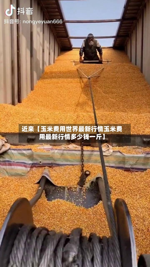 近来【玉米费用世界最新行情玉米费用最新行情多少钱一斤】-第2张图片