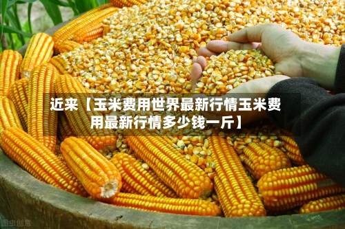近来【玉米费用世界最新行情玉米费用最新行情多少钱一斤】