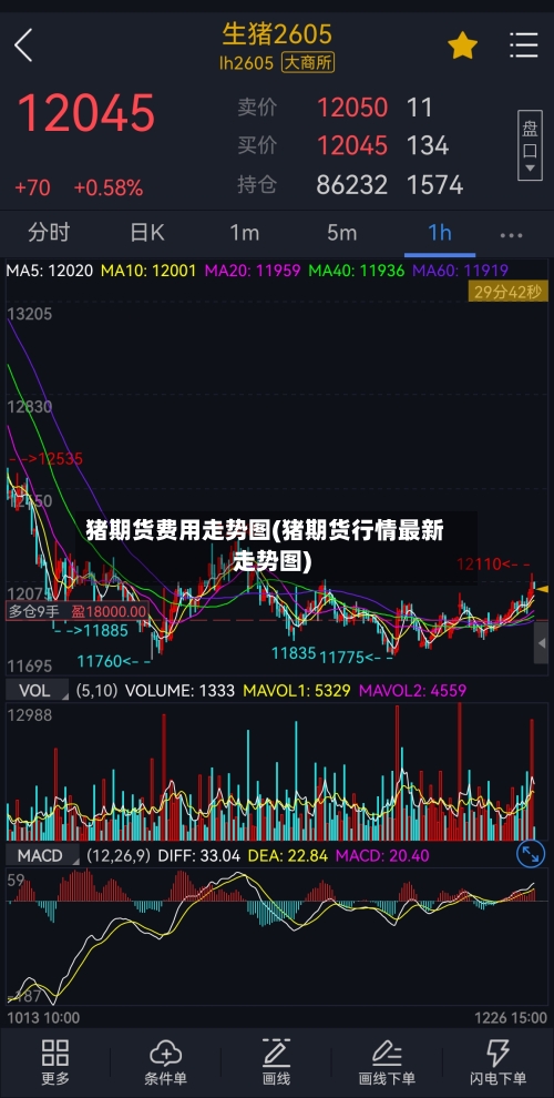 猪期货费用走势图(猪期货行情最新走势图)-第3张图片