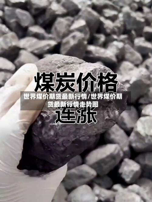 世界煤价期货最新行情/世界煤价期货最新行情走势图