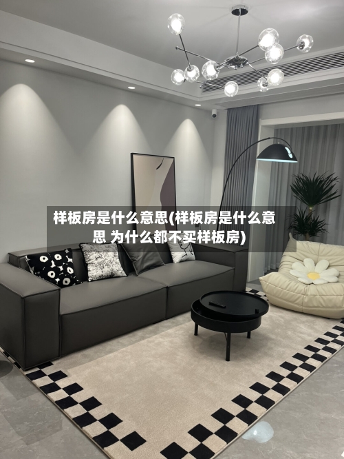 样板房是什么意思(样板房是什么意思 为什么都不买样板房)-第2张图片