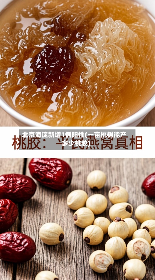 北京海淀新增1例阳性(一亩桃树能产多少桃胶)