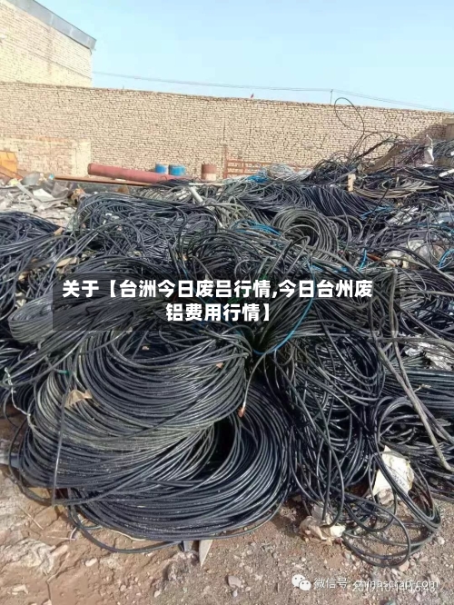 关于【台洲今日废吕行情,今日台州废铝费用行情】-第2张图片