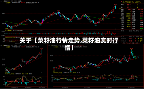 关于【菜籽油行情走势,菜籽油实时行情】