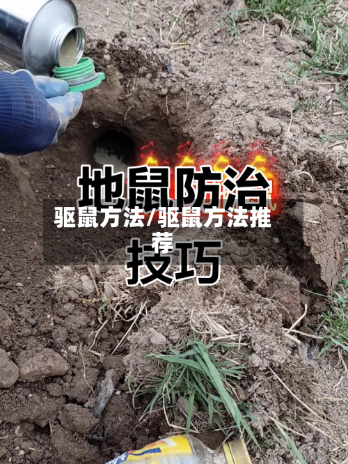 驱鼠方法/驱鼠方法推荐