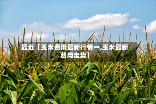 最近【玉米费用最新行情一,玉米最新费用走势】-第3张图片