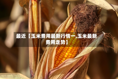 最近【玉米费用最新行情一,玉米最新费用走势】-第2张图片