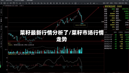 菜籽最新行情分析了/菜籽市场行情走势