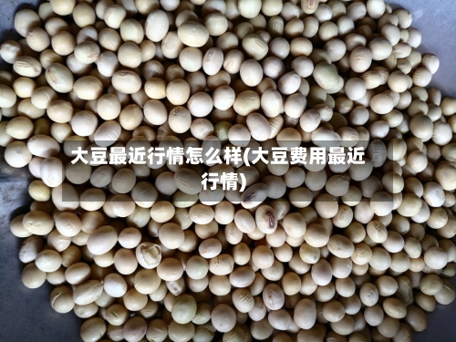 大豆最近行情怎么样(大豆费用最近行情)