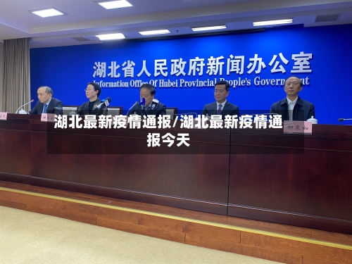 湖北最新疫情通报/湖北最新疫情通报今天-第2张图片