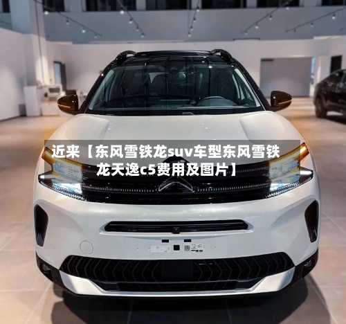 近来【东风雪铁龙suv车型东风雪铁龙天逸c5费用及图片】