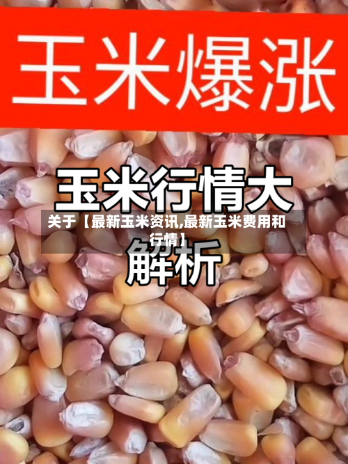 关于【最新玉米资讯,最新玉米费用和行情】