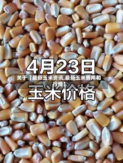 关于【最新玉米资讯,最新玉米费用和行情】-第2张图片
