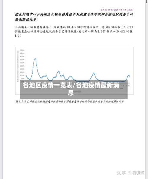 各地区疫情一览表/各地疫情最新消息-第2张图片