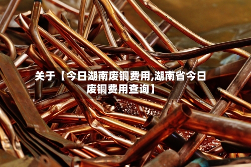 关于【今日湖南废铜费用,湖南省今日废铜费用查询】