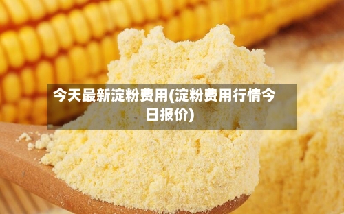 今天最新淀粉费用(淀粉费用行情今日报价)