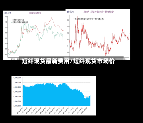短纤现货最新费用/短纤现货市场价