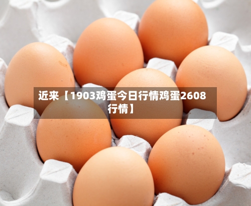 近来【1903鸡蛋今日行情鸡蛋2608行情】-第2张图片