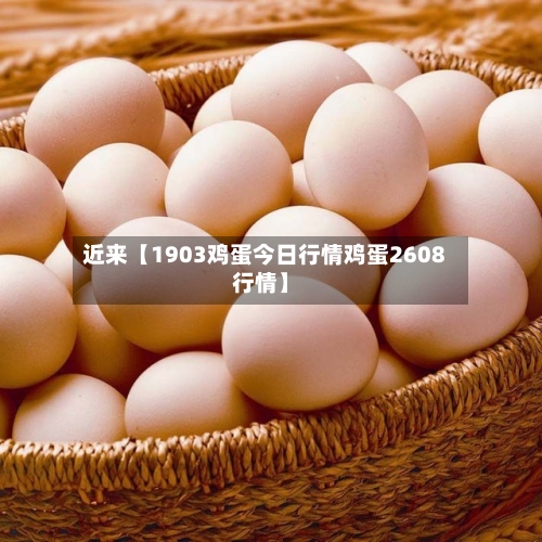 近来【1903鸡蛋今日行情鸡蛋2608行情】