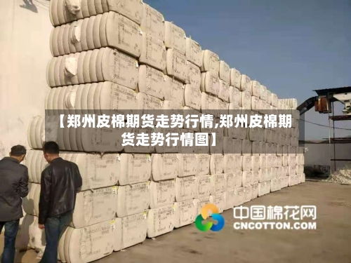 【郑州皮棉期货走势行情,郑州皮棉期货走势行情图】-第2张图片