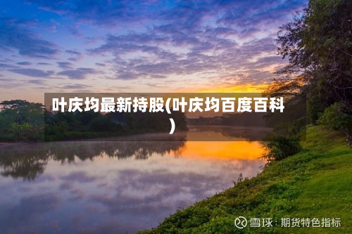 叶庆均最新持股(叶庆均百度百科)