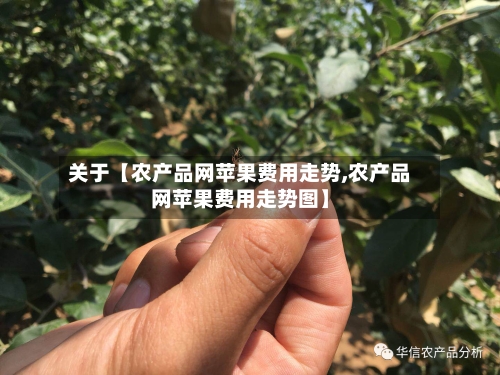 关于【农产品网苹果费用走势,农产品网苹果费用走势图】-第2张图片