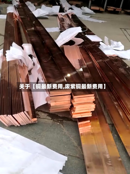 关于【铜最新费用,废紫铜最新费用】-第2张图片