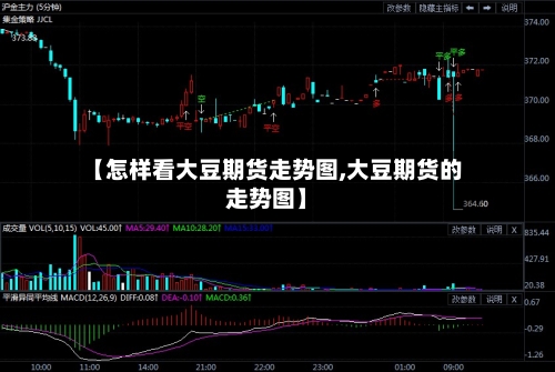 【怎样看大豆期货走势图,大豆期货的走势图】-第2张图片