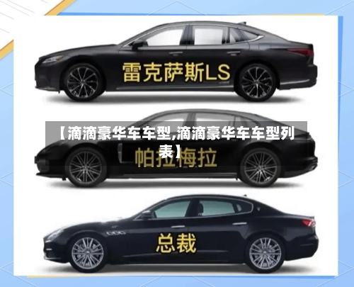 【滴滴豪华车车型,滴滴豪华车车型列表】
