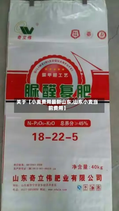 关于【小麦费用最新山东,山东小麦当前费用】
