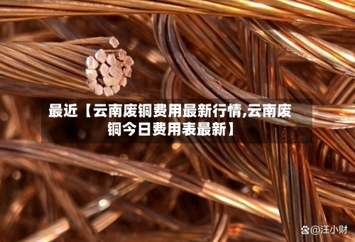 最近【云南废铜费用最新行情,云南废铜今日费用表最新】-第2张图片