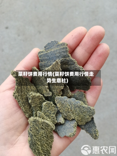 菜籽饼费用行情(菜籽饼费用行情走势生意社)-第2张图片